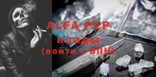 хмурый Абаза