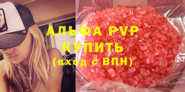 хмурый Абаза