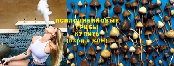 хмурый Абаза