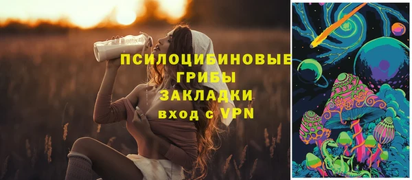 хмурый Абаза
