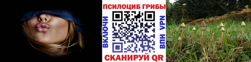 Псилоцибиновые грибы MAGIC MUSHROOMS  Микунь 